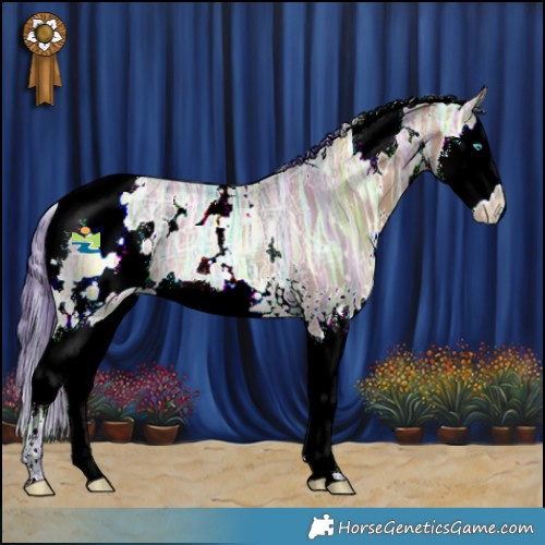 Horse Color:Watercolor White Spotted Bay Ice Dun Splash Rabicano 