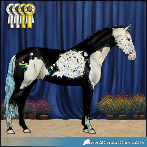 Horse Color:Watercolor Bay Ice Dun Splash Tobiano Rabicano