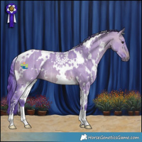 Horse Color:Watercolor White Spotted Brown Ice Dun 