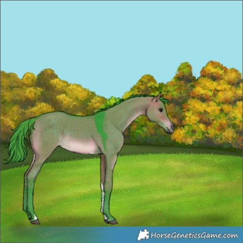 Horse Color:Watercolor Brown Dun Tobiano Rabicano 