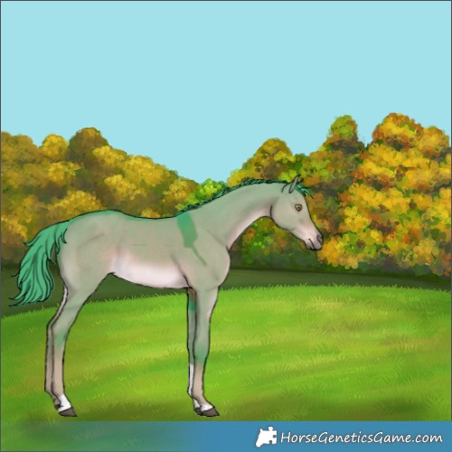 Horse Color:Watercolor Liver Red Dun Tobiano Rabicano 