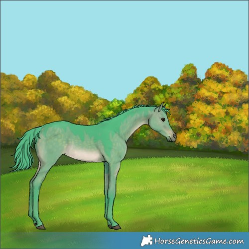 Horse Color:Watercolor Chocolate Brown Dun 