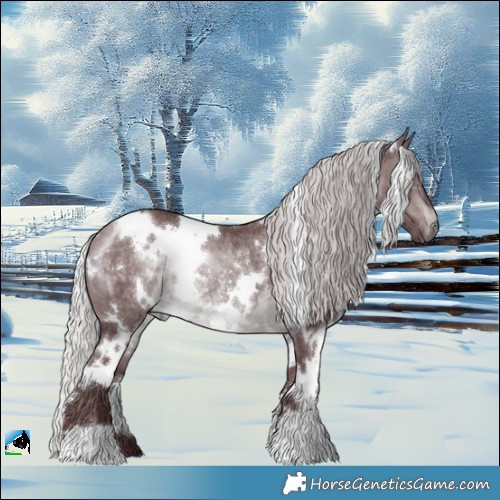 Horse Color:White Spotted Chocolate Silver Brown Chinchilla Rabicano 