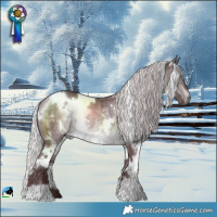 Horse Color:White Spotted Chocolate Silver Brown Chinchilla Rabicano 