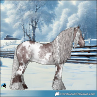 Horse Color:White Spotted Chocolate Silver Brown Chinchilla Rabicano 