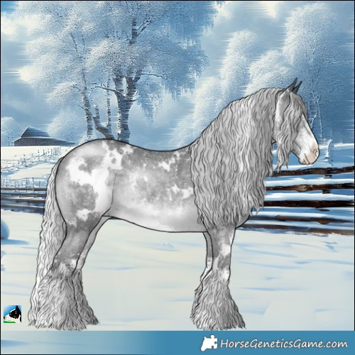 Horse Color:White Spotted Silver Brown Chinchilla Sabino Rabicano 