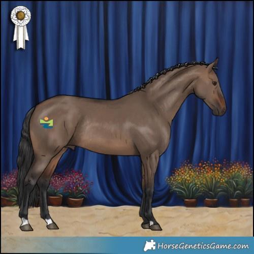 Horse Color:Brown Dun Rabicano 