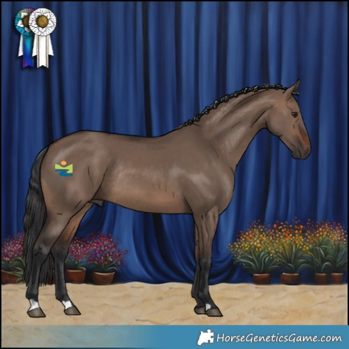 Horse Color:Brown Dun Rabicano 