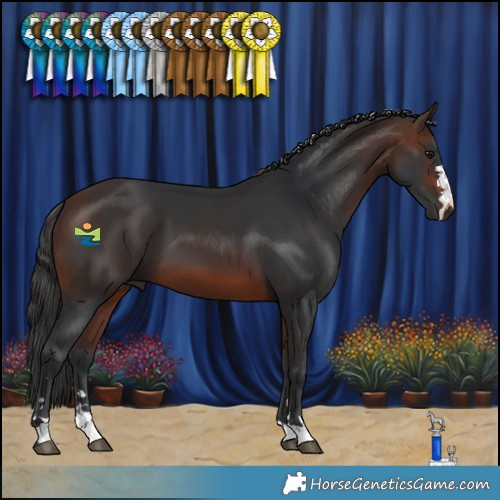 Horse Color:Brown 