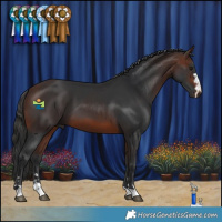 Horse Color:Brown 