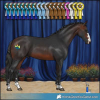 Horse Color:Brown 