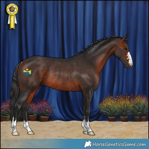 Horse Color:Bay Rabicano 