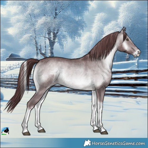 Horse Color:Chocolate Brown Chinchilla Onyx Sabino Tobiano 