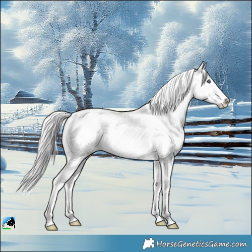 Horse Color:Chocolate Silver Brown Chinchilla Sabino Rabicano