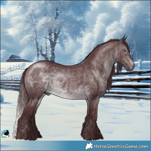 Horse Color:Chocolate Brown Chinchilla Rabicano 