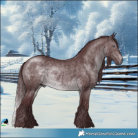 Horse Color:Chocolate Brown Chinchilla Rabicano