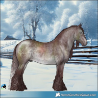 Horse Color:Chocolate Brown Chinchilla Rabicano