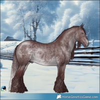 Horse Color:Chocolate Brown Chinchilla Rabicano 