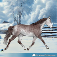 Horse Color:Chocolate Buckskin Chinchilla Sabino Rabicano 