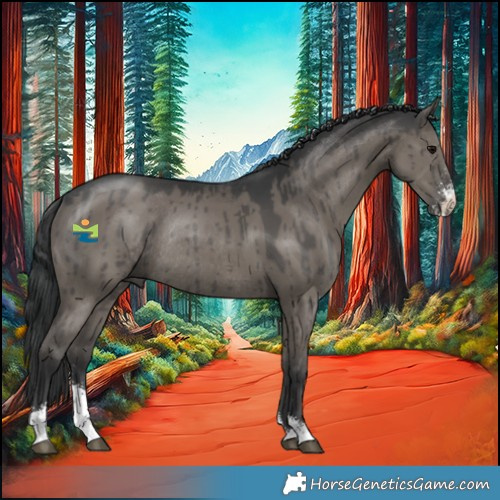 Horse Color:Grullo Sabino Rabicano Brindle 