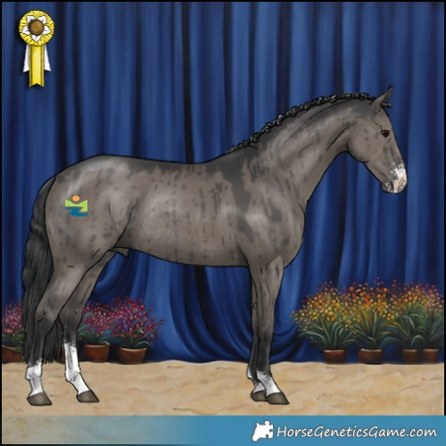 Horse Color:Grullo Sabino Rabicano Brindle 