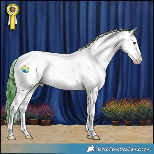 Horse Color:Watercolor Brown Dun Sabino Appaloosa Brindle 
