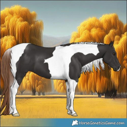 Horse Color:Liver Chestnut Tobiano 