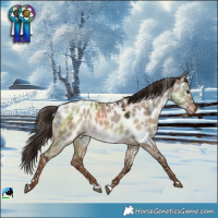 Horse Color:Liver Red Dun Near Leopard 