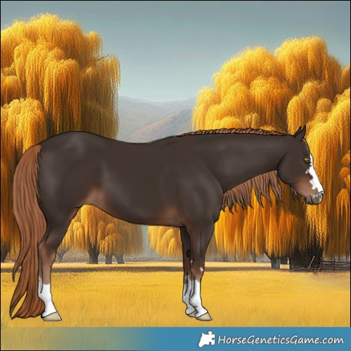 Horse Color:Liver Chestnut 