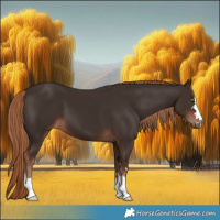 Horse Color:Liver Chestnut 