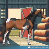 Horse Color:Black Tobiano  and Bay Tobiano 
