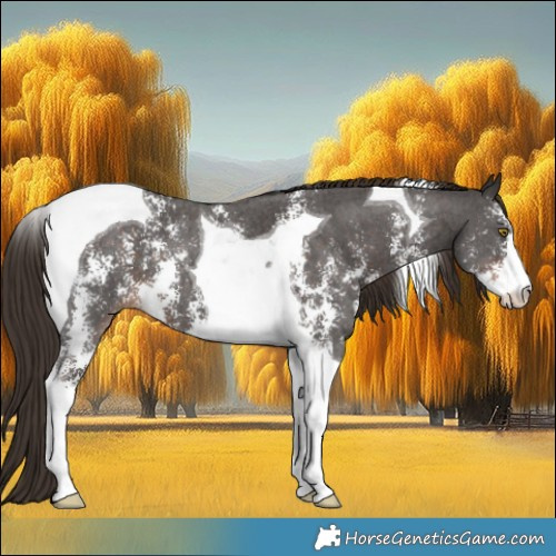 Horse Color:Liver Chestnut Sabino Tobiano 