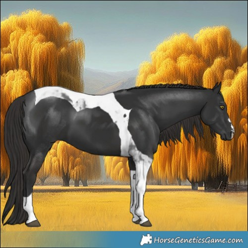 Horse Color:Liver Chestnut Tobiano 