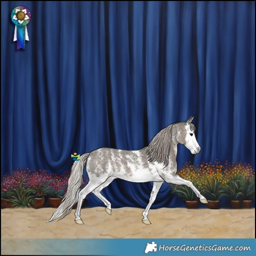 Horse Color:Silver Black Sabino Splash 