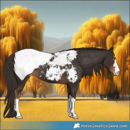 Horse Color:Liver Chestnut Snowcap
