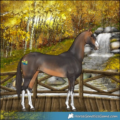 Horse Color:White Spotted Buckskin 