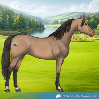 Horse Color:Bay Dun