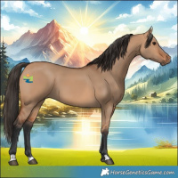 Horse Color:Bay Dun