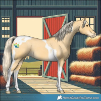 Horse Color:Palomino Dun Tobiano Varnish 