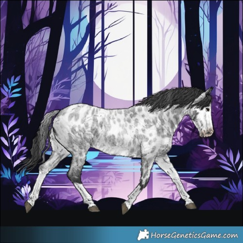 Horse Color:White Spotted Blue Roan Splash Frame Near Leopard 