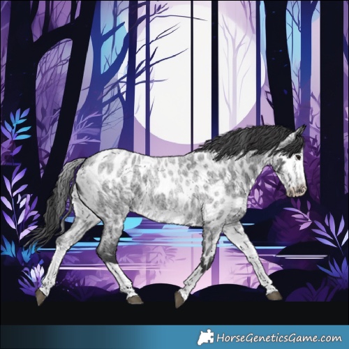 Horse Color:White Spotted Blue Roan Splash Frame Appaloosa 