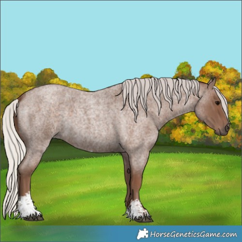 Horse Color:Silver Blue Roan Sabino