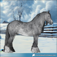 Horse Color:Brown Chinchilla Merle Tobiano 