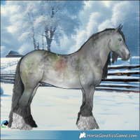 Horse Color:Brown Chinchilla Merle Tobiano 