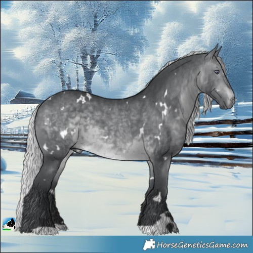 Horse Color:White Spotted Silver Brown Chinchilla 