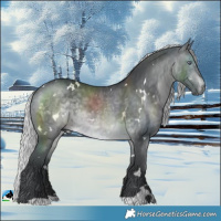 Horse Color:White Spotted Silver Brown Chinchilla 