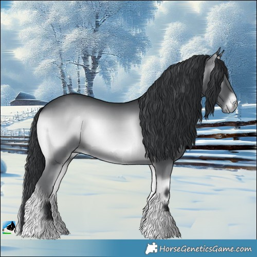 Horse Color:Blue Onyx Chinchilla