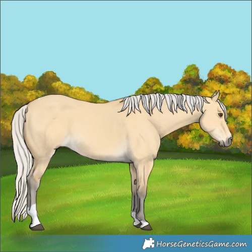 Horse Color:Silver Buckskin Dun Tobiano 