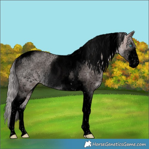 Horse Color:Void Platinum White Spotted Brown Pearl Merle Tobiano Rabicano 