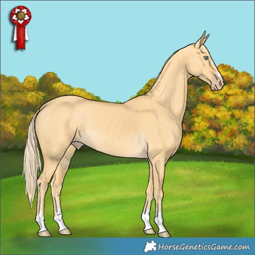 Horse Color:Gold Cream Champagne Dun